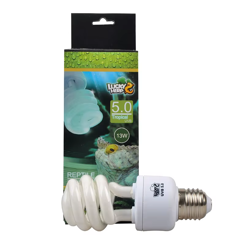 Lampe de Terrarium Tropical fluorescente compacte pour Reptile, ampoule UVA UVB 5.0, filetage de vis