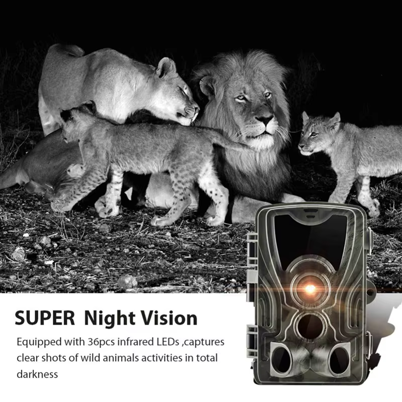 Caméra de Chasse et de Suivi des Sentiers, Vision Nocturne, Active le Mouvement en plein air, Déclen