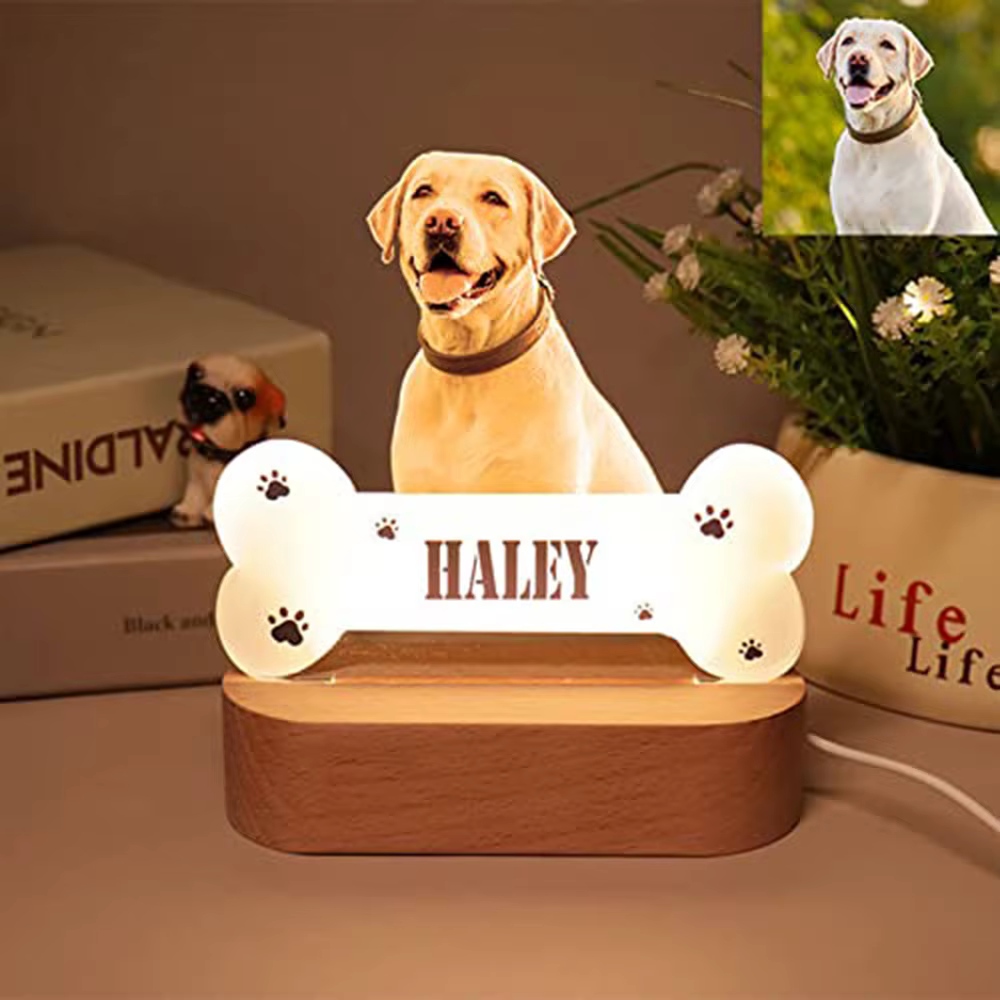 Lampe de nuit LED en acrylique personnalisée avec photo d'animal de compagnie, lumière douce et chau