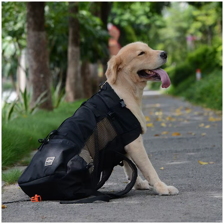 Randonnée animal de compagnie chien transporteur voyage sac à dos Ventilation extérieure respirant v