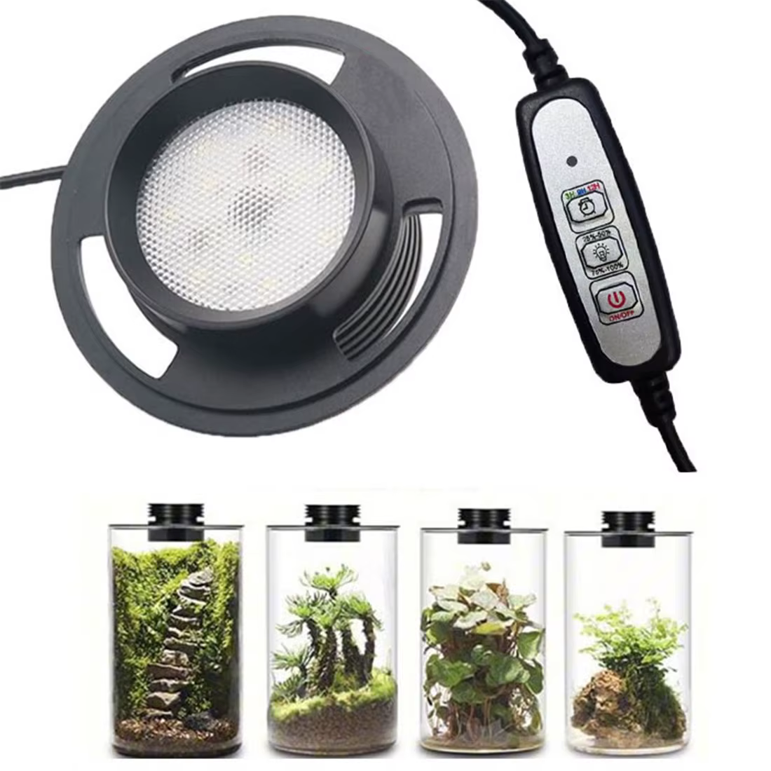 Lampe de culture de plantes Terrarium USB à intensité variable avec minuterie pour Vases, croissance