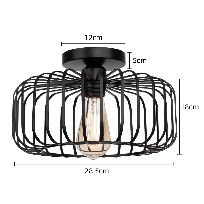 Plafonnier d'intérieur en cage à oiseaux Simple, luminaire décoratif de plafond, idéal pour une cham