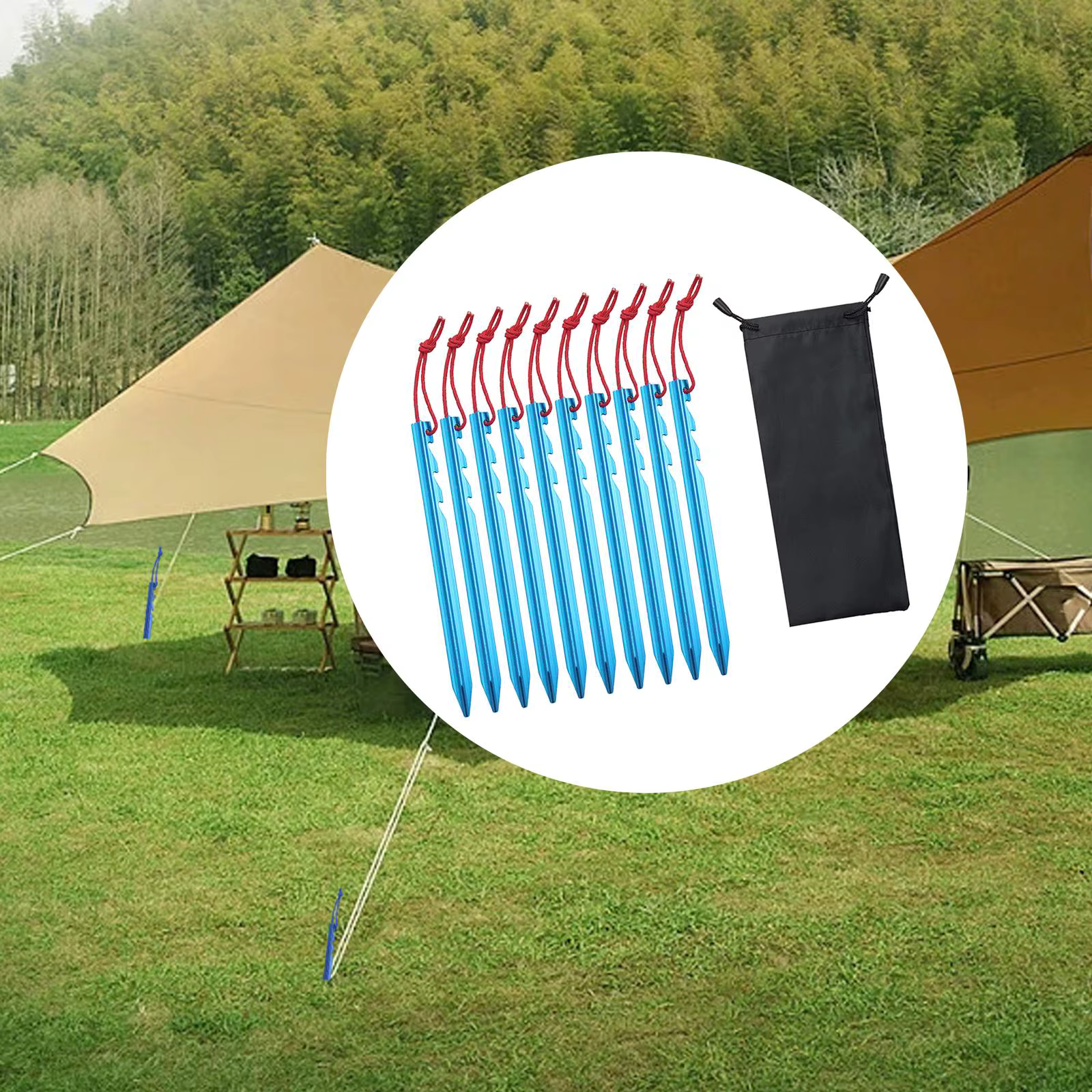 10x piquets de tente piquets de bâche avec sac de rangement pointes de tente ancres piquets de sol