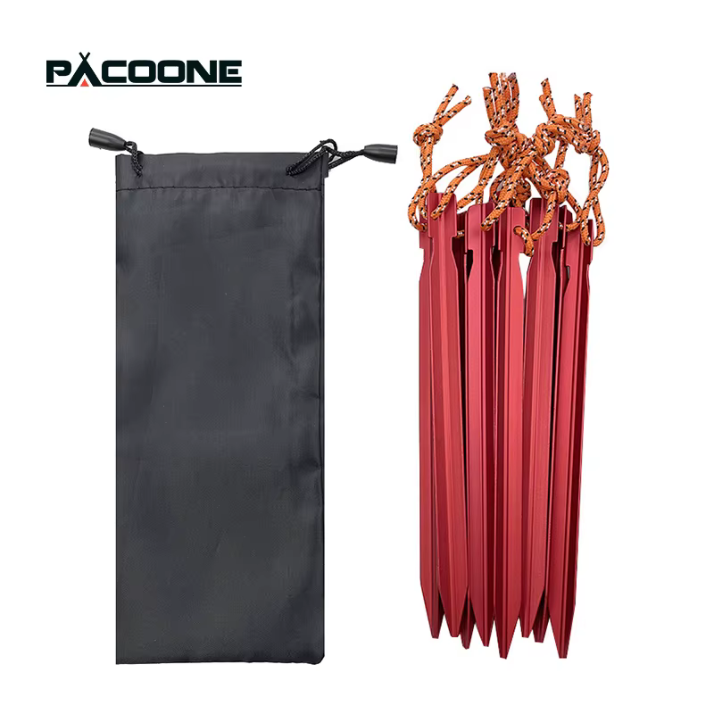 Pacoone 10 pièces/lot 18cm chevilles de tente en aluminium rond piquet de tente alliage argent pique