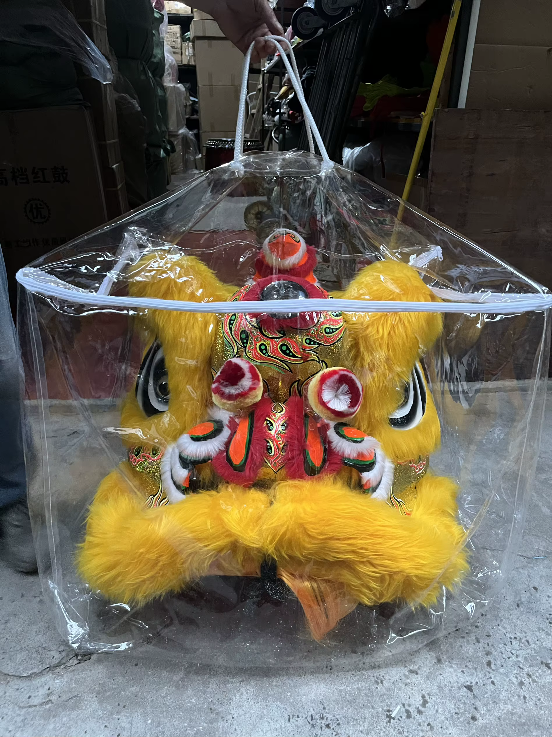 Sacs de rangement pour sac de protection de danse du Lion du sud pour tête de Lion chinois