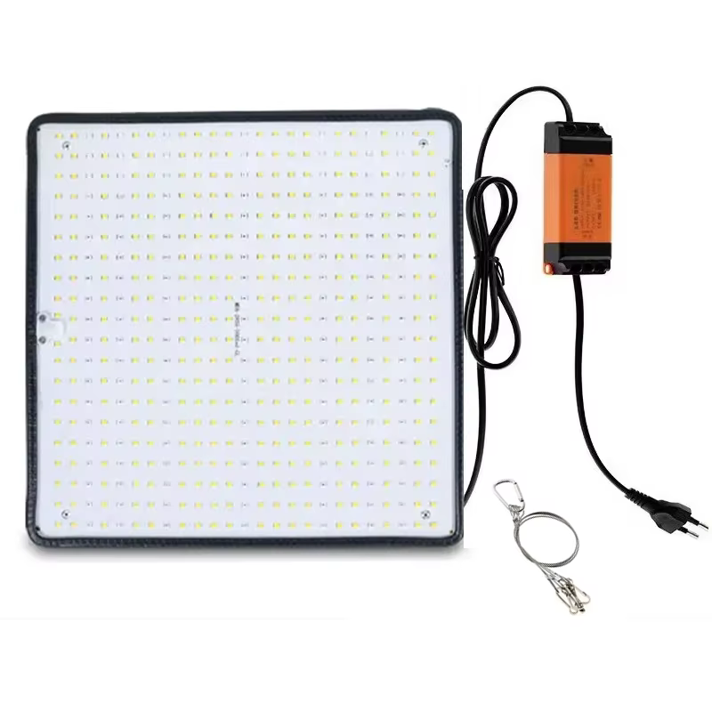 Lampe de culture LED Quantum Board à spectre complet pour plantes, pour serres de culture intérieure