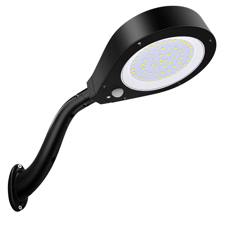 Lumière de douche solaire LED lampe solaire étanche extérieure détecteur de mouvement éclairage mura