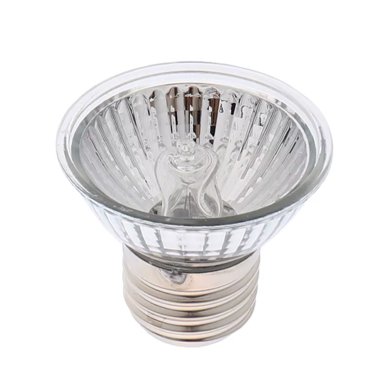 Ampoule de lampe chauffante pour reptile, régulateur de température, tortue qui se prélasse, UVA et 