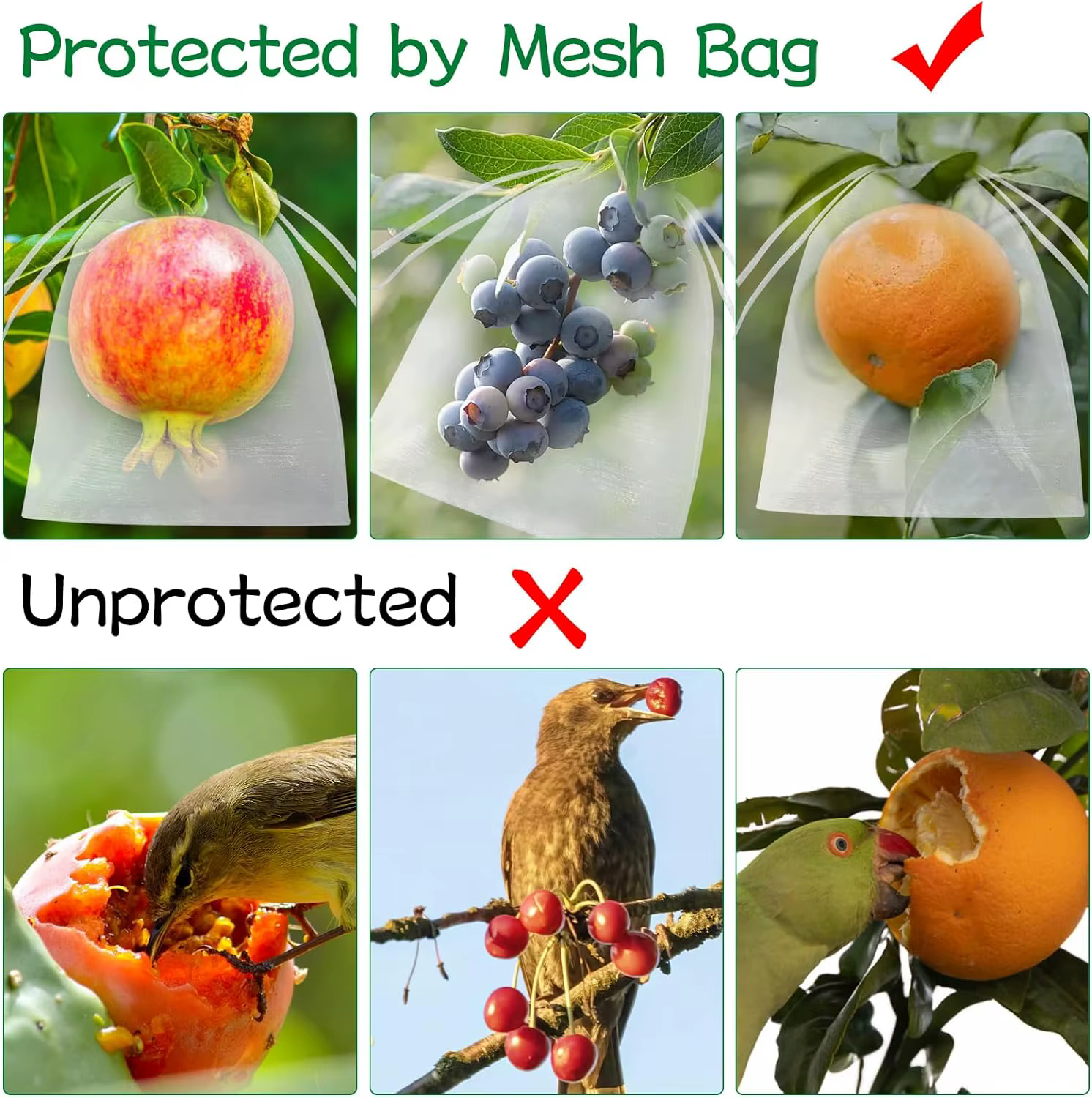 Sac de Protection des fruits