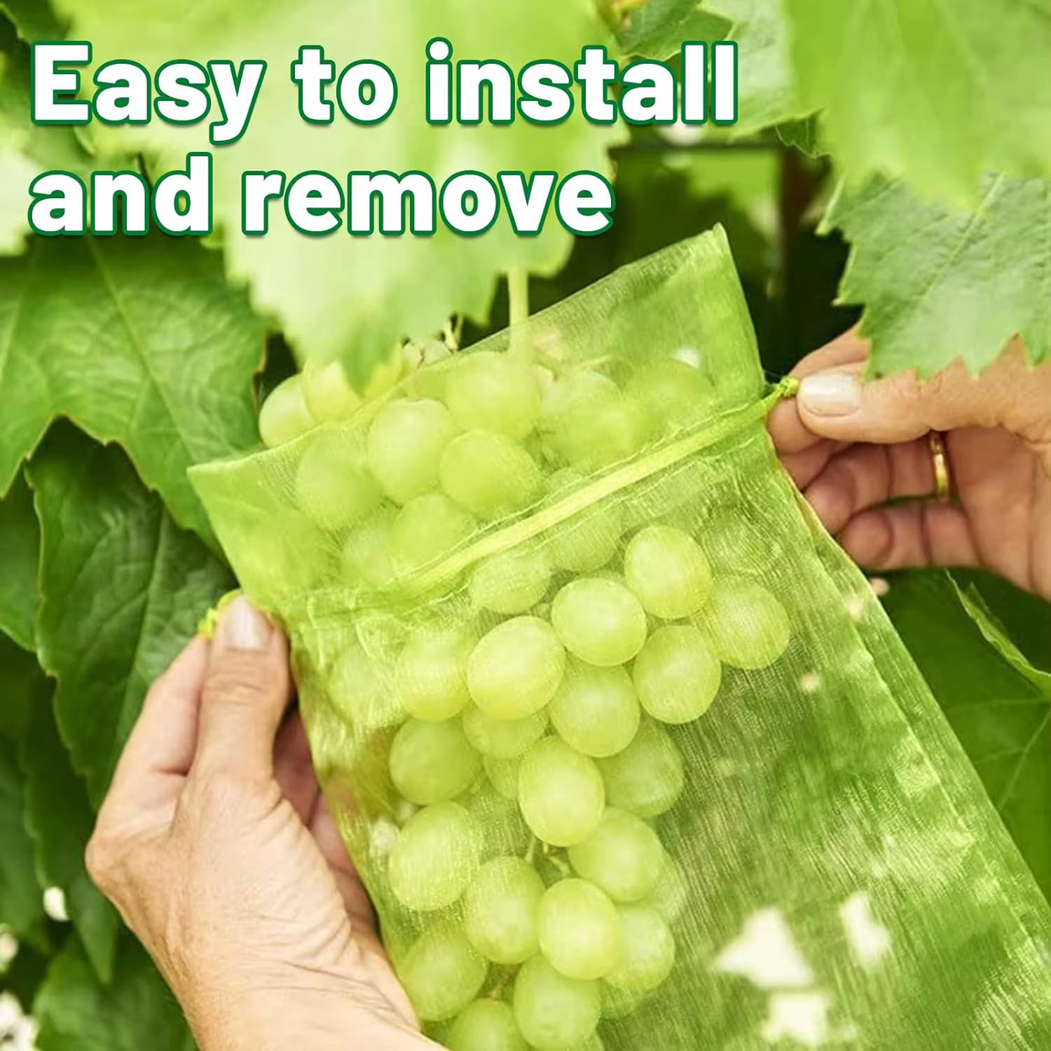 Sac de Protection des fruits