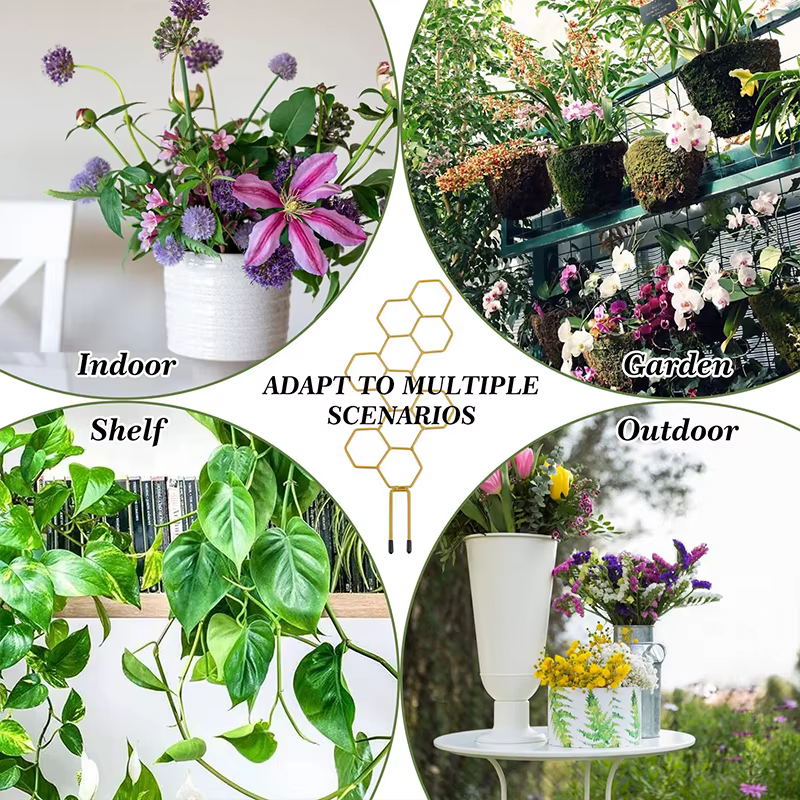 Support pour plantes, accessoires de jardin d'intérieur, Support en treillis de serre pour plantes, outils de bonsaï, fournitures de croissance, Gadgets de jardinage