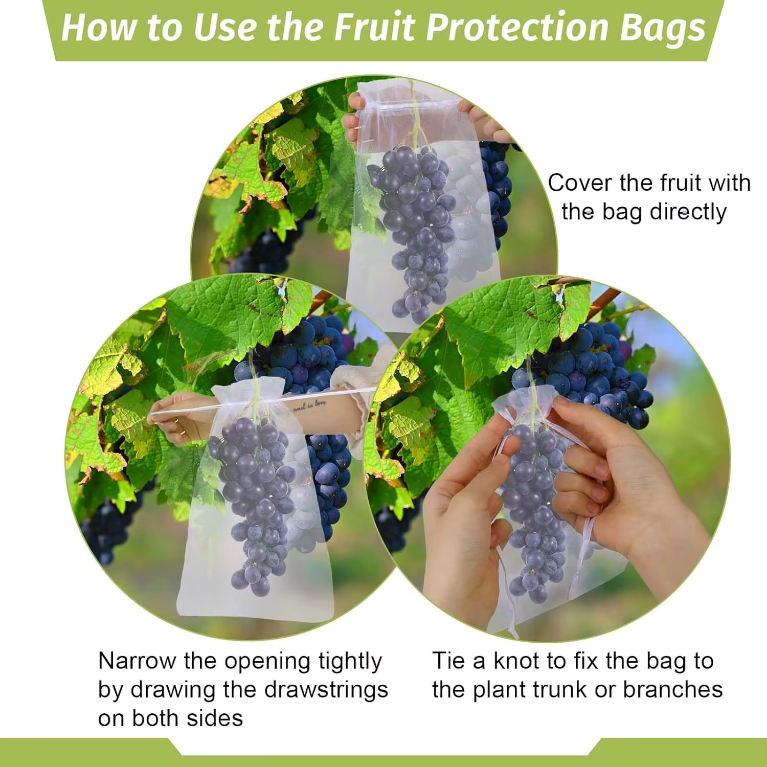 Sac de Protection des fruits