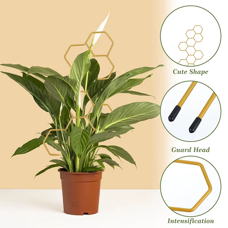 Support pour plantes, accessoires de jardin d'intérieur, Support en treillis de serre pour plantes, outils de bonsaï, fournitures de croissance, Gadgets de jardinage