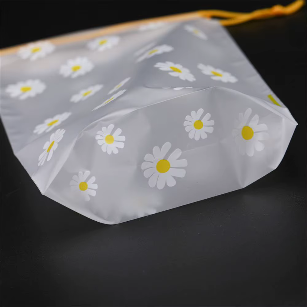 Sac de rangement en plastique PVC avec ficelle de proximité, sac de voyage portable, sac cosmétique transparent étanche 256, petit, AndrPattern