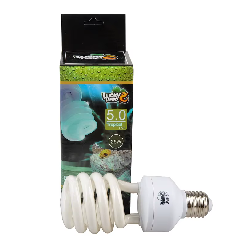 Lampe de Terrarium Tropical fluorescente compacte pour Reptile, ampoule UVA UVB 5.0, filetage de vis, 220-240V, 110V-130V,13W,26W disponible