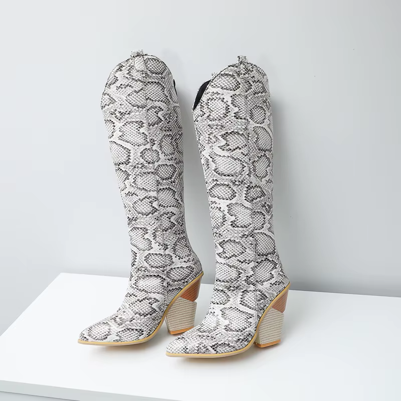 Chaussures compensées personnalisées pour femmes, bottes hautes au genou, Parker pointu, talon haut, grande taille 41-48, WSHino 45, hiver, nouveau, 2025
