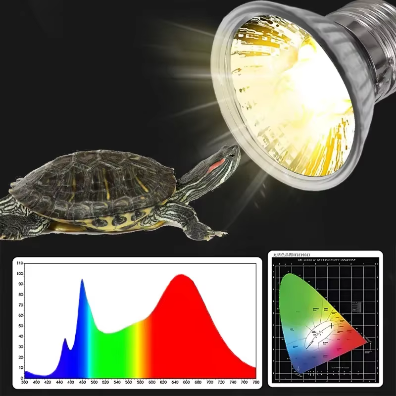 Ampoules UVA pour reptiles, lampe chauffante pour animaux de compagnie, lampe solaire complète pour amphibiens, tortue qui se prélasse, lampe chauffante UV, 25 W, 50 W, 75W