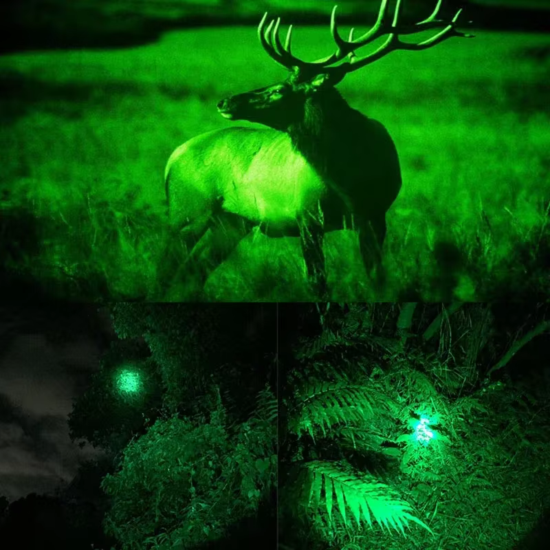 Lampe de poche tactique LED pour la chasse