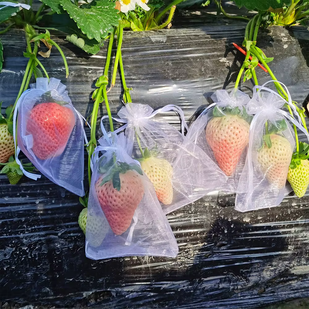 100 pièces grands sacs de protection de fruit de raisin sac de maille de jardin avec le wstring de proximité