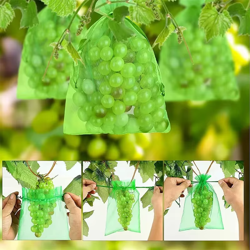 Sacs de protection des fruits