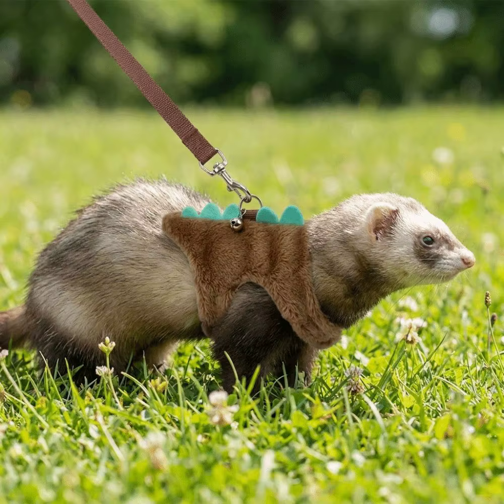 Harnais réglable pour furets en forme de dinosaure avec clochette, sangle de poitrine pour hamsters, laisse confortable anti-évasion pour animaux de compagnie, pour l'extérieur