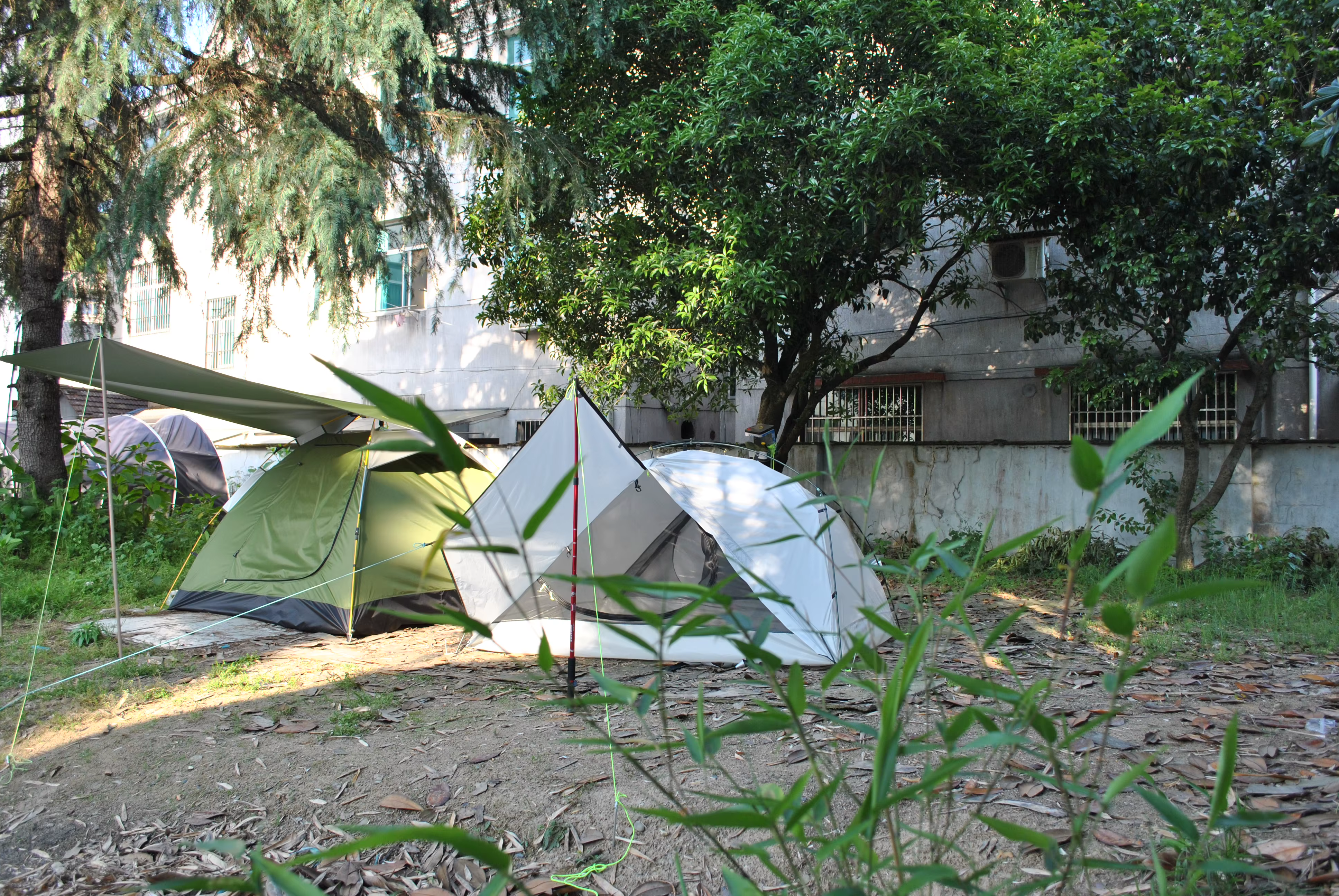 Tentes de camping ultralégères pour 2 personnes avec tapis de sol - Tente