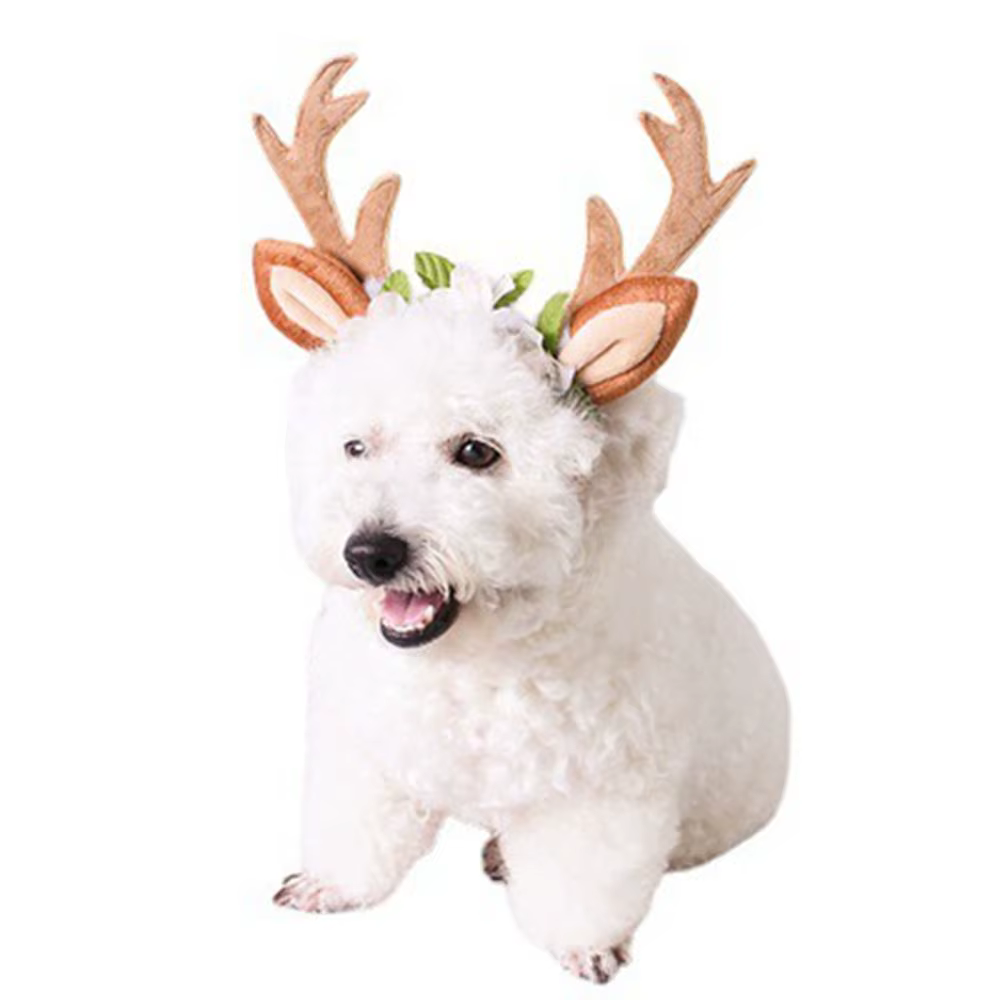 Déguisement de fête pour animaux de compagnie, tenues de noël, accessoires pour chats, accessoires de toilettage, couvre-chef pour chien, Costume de chapeau de noël