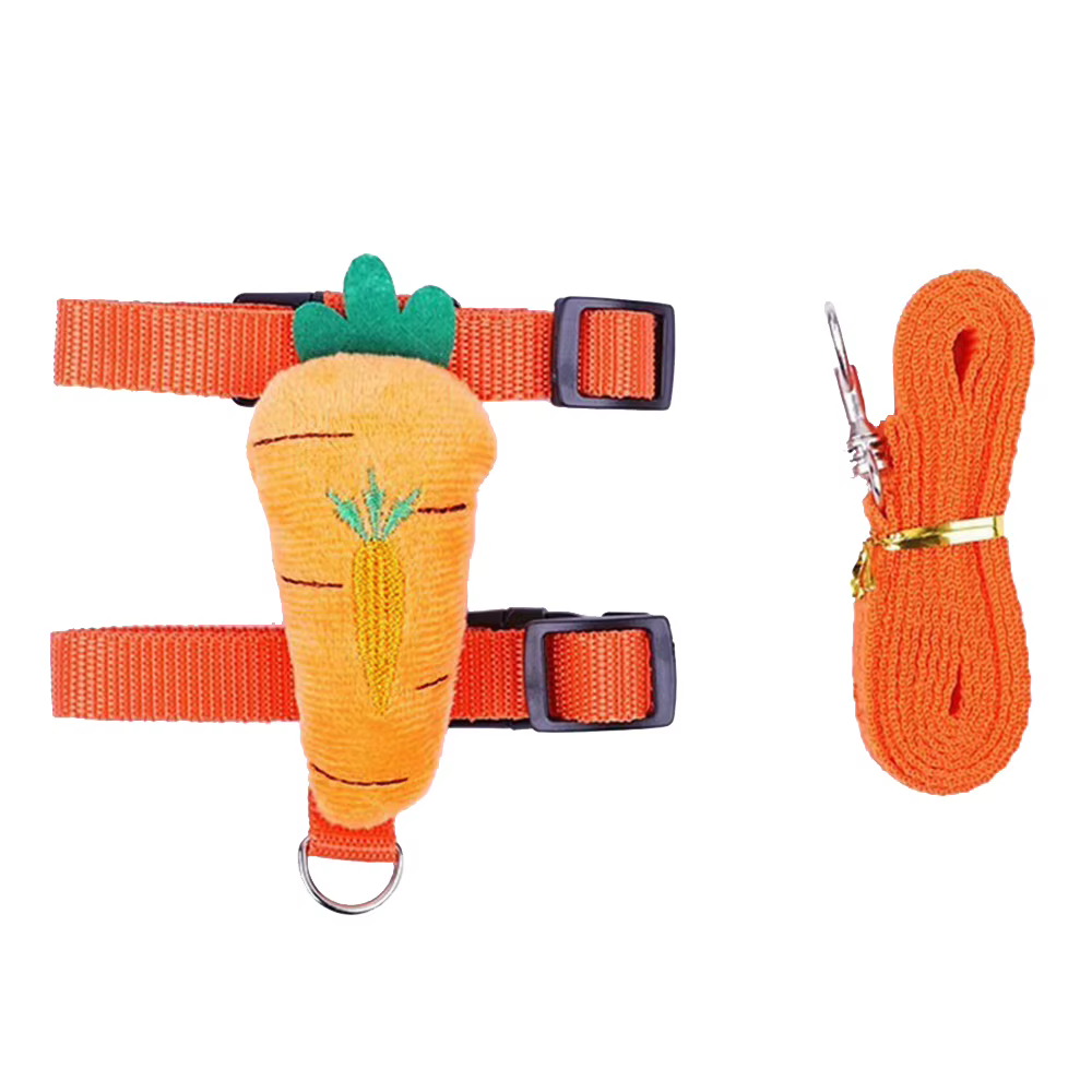 Ensemble harnais et laisse pour chat lapin, laisse réglable pour animaux de compagnie, pour petits animaux, furets, cochon, hérissons, marche en plein air