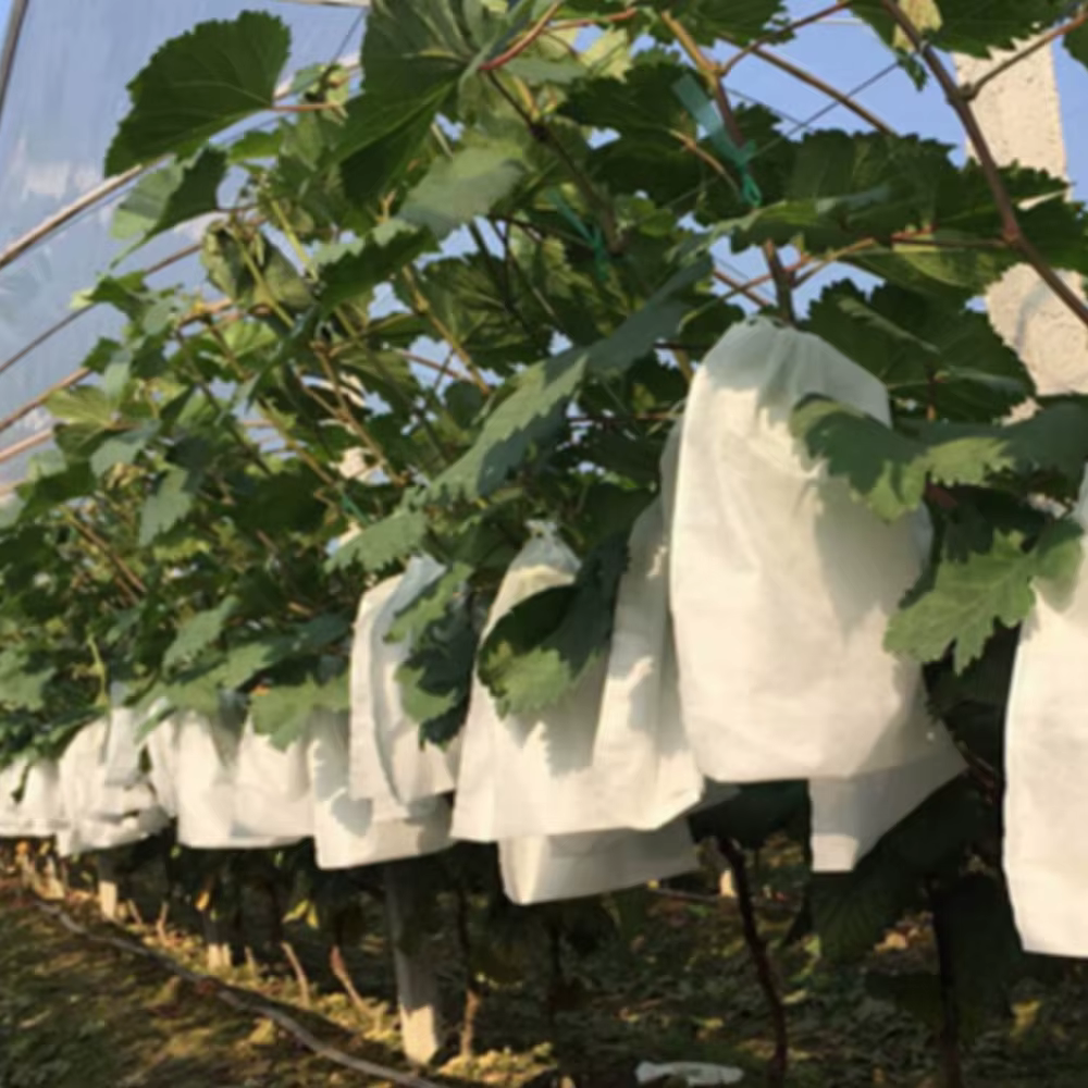 Sac de Protection des Fruits et du Jardin