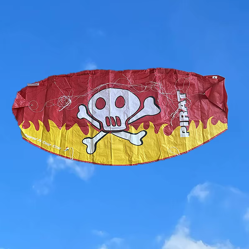 Nouveau cerf-volant de kitesurf parafoil à double ligne pour adultes, cerf-volant de freestyle, cerf-volant de sport, cerf-volant de plage, cerf-volant professionnel, série usine