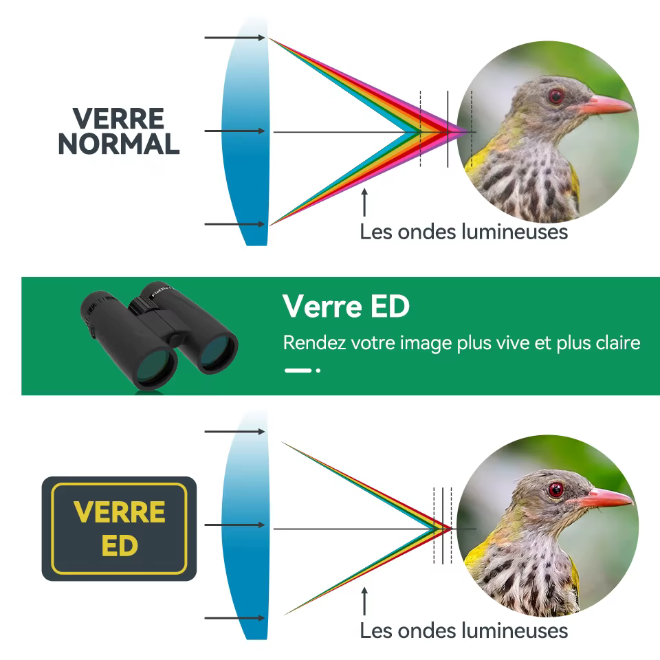 Svbony SA205 Jumelles pour Adaults