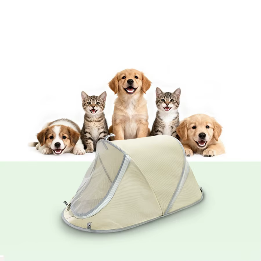 Tente portable pour chien