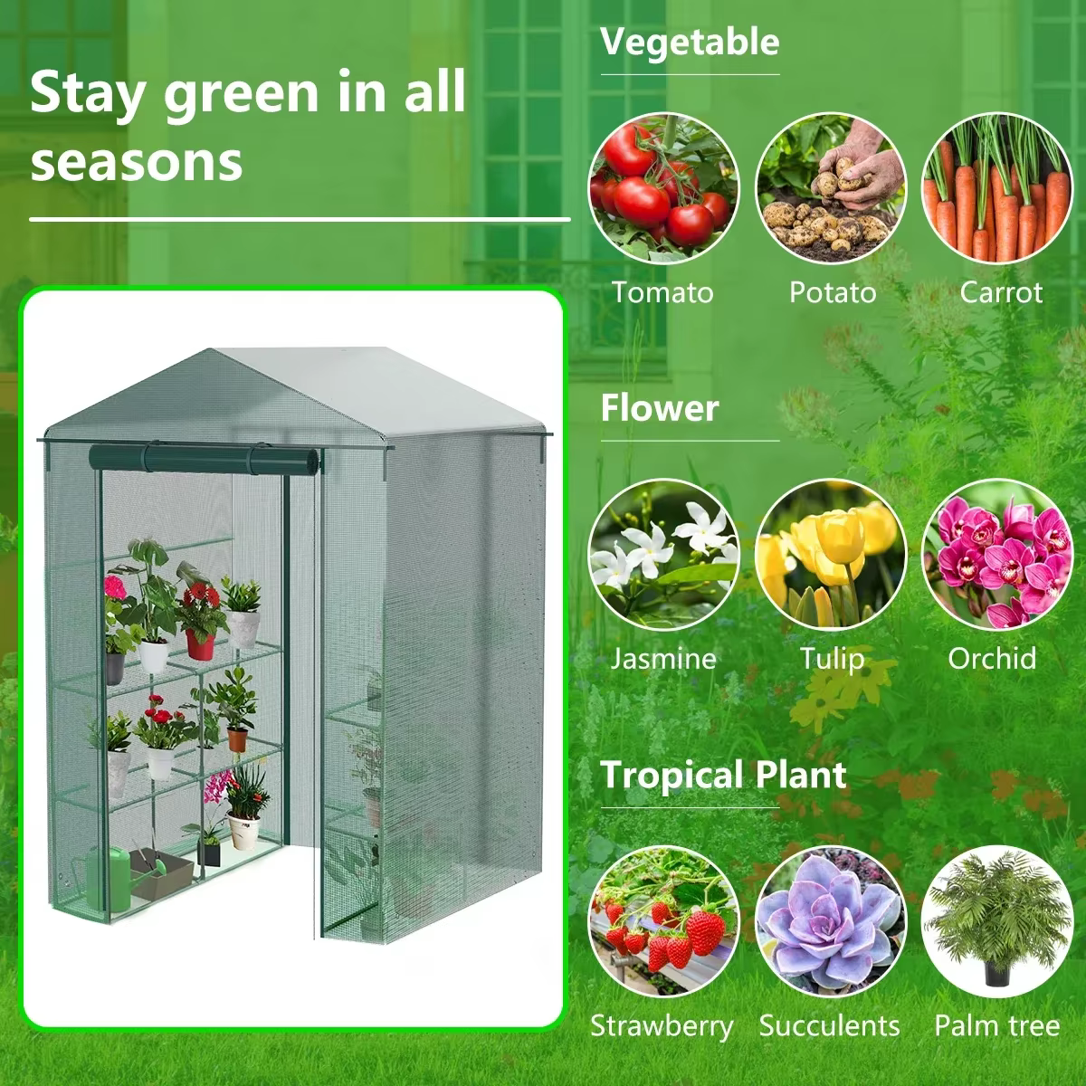 Serre portable avec porte, jardin de plantes, maison verte, grande maison de jardin, promenade en plein air, hiver et été