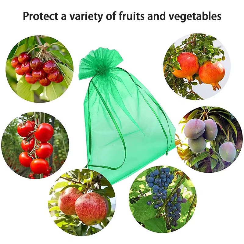 Sacs de protection des fruits