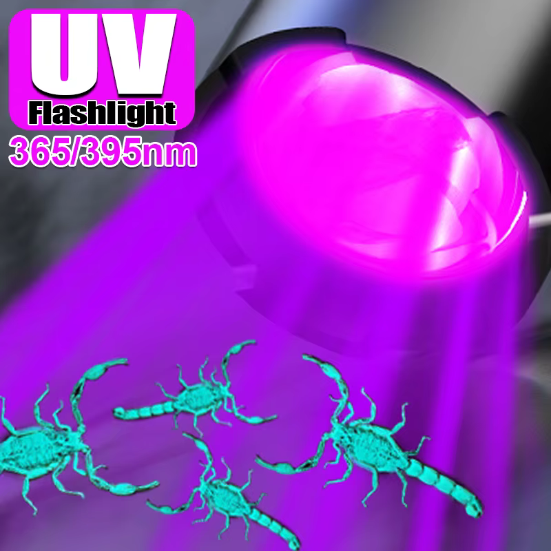 Lampe de poche UV LED Portable