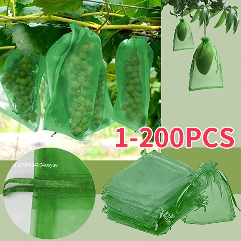 Sacs de protection anti-oiseaux pour la culture de plantes