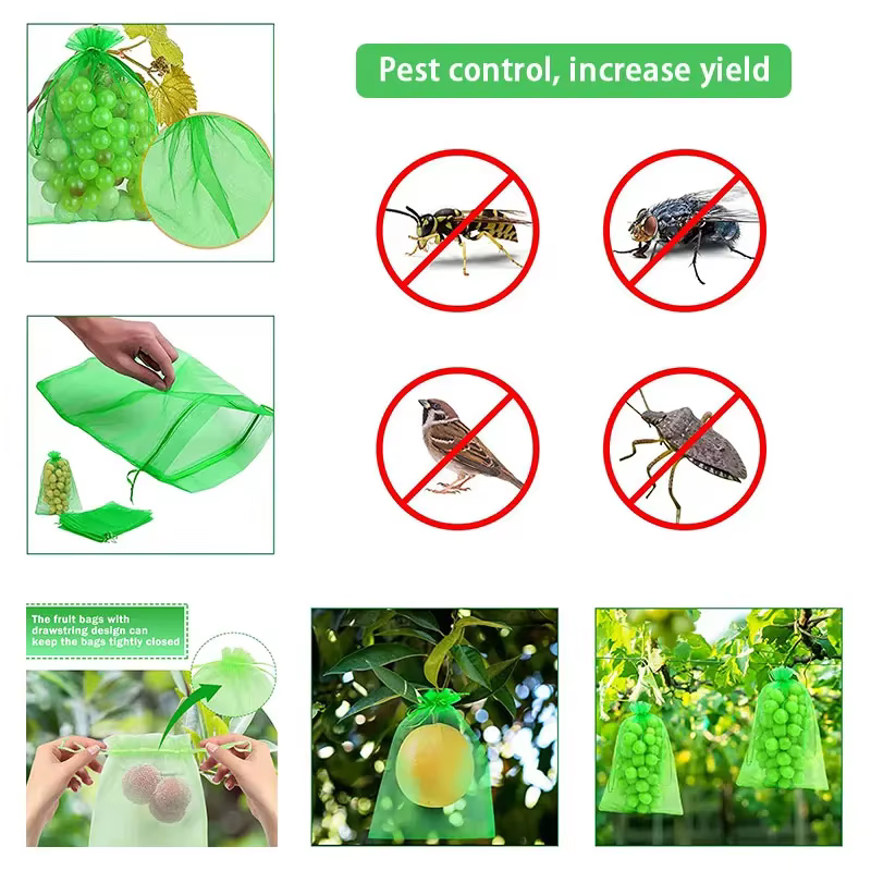 Sacs de protection des fruits
