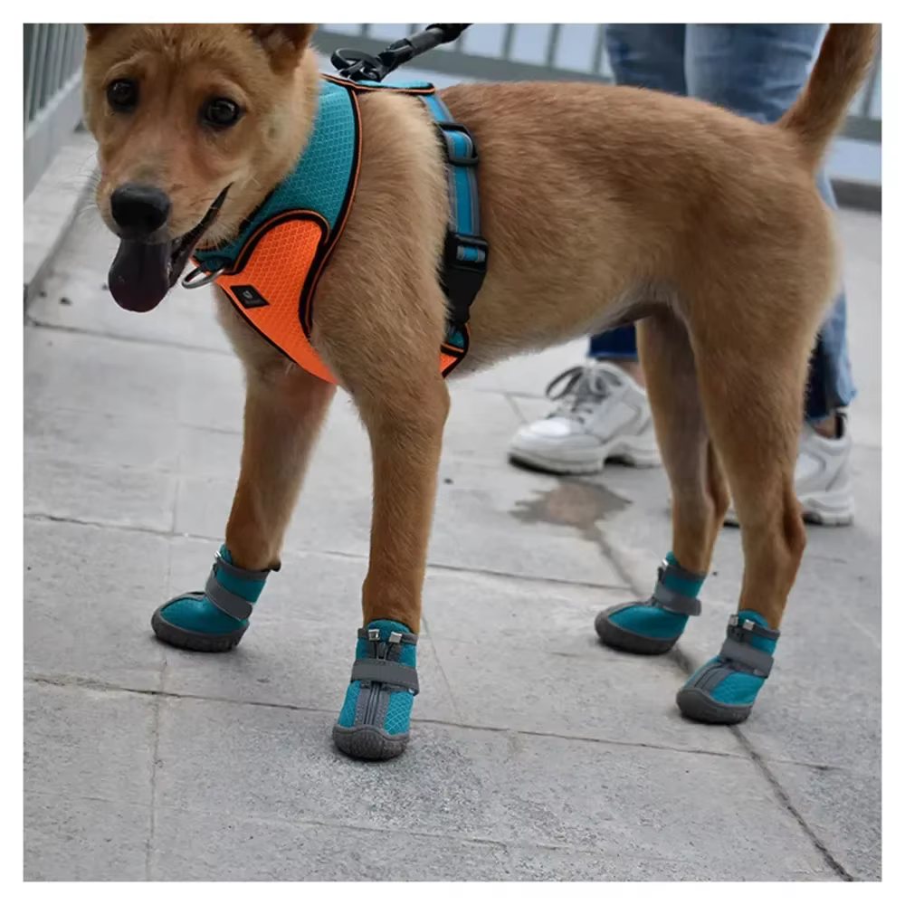 Chaussures en maille pour animaux de compagnie