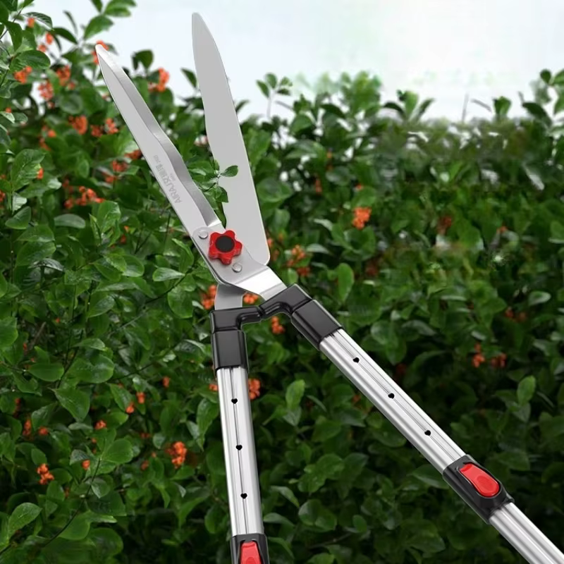 Sécateurs Spécifiques pour Jardinage en Cour, Arbres Fruitiers, Fleurs, Branches Décoratives, Ciseaux de Taille, Outils et Accessoires d'Horticulture Domestique
