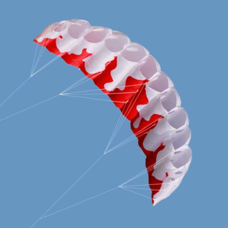 Nouveau cerf-volant de kitesurf parafoil à double ligne pour adultes, cerf-volant de freestyle, cerf-volant de sport, cerf-volant de plage, cerf-volant professionnel, série usine
