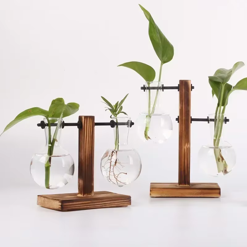 Plante hydroponique Terrarium Vasevase décoration maison bouteille en verre