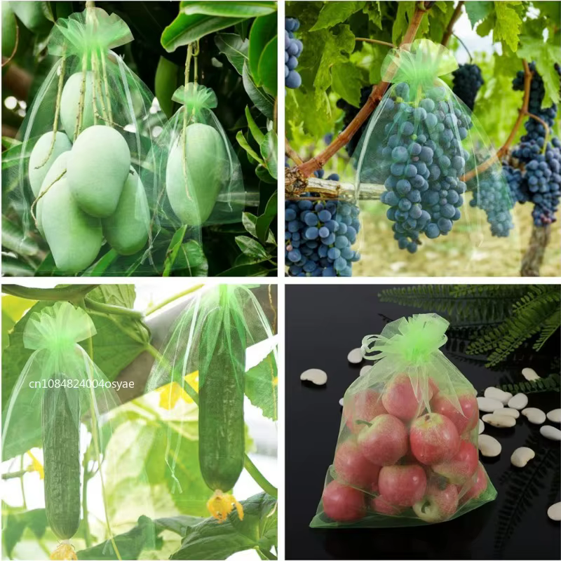 Sacs de protection anti-oiseaux pour la culture de plantes