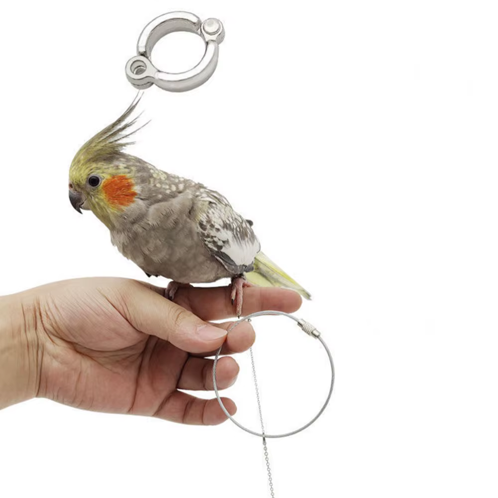 Accessoires d'entraînement en extérieur pour oiseaux avec boucle pivotante : Support pour oiseaux, Bague de pied pour perroquet, Chaîne de pied pour perruche