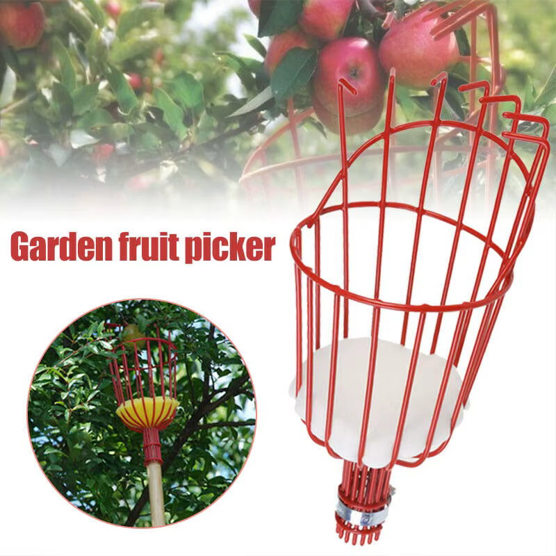 Machine de cueillette de fruits