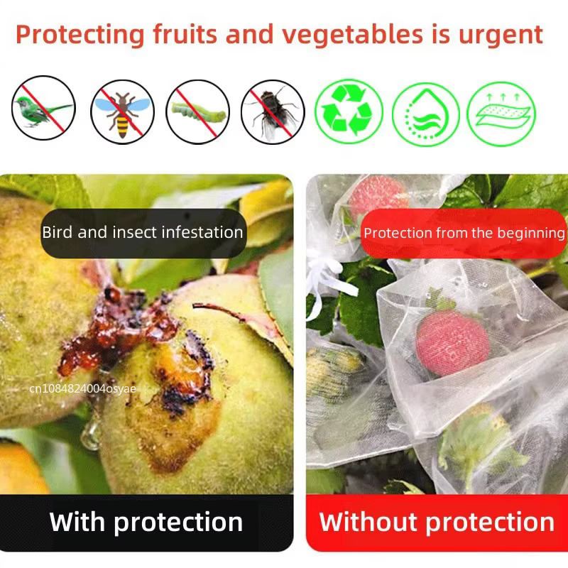 Sacs de protection anti-oiseaux pour la culture de plantes