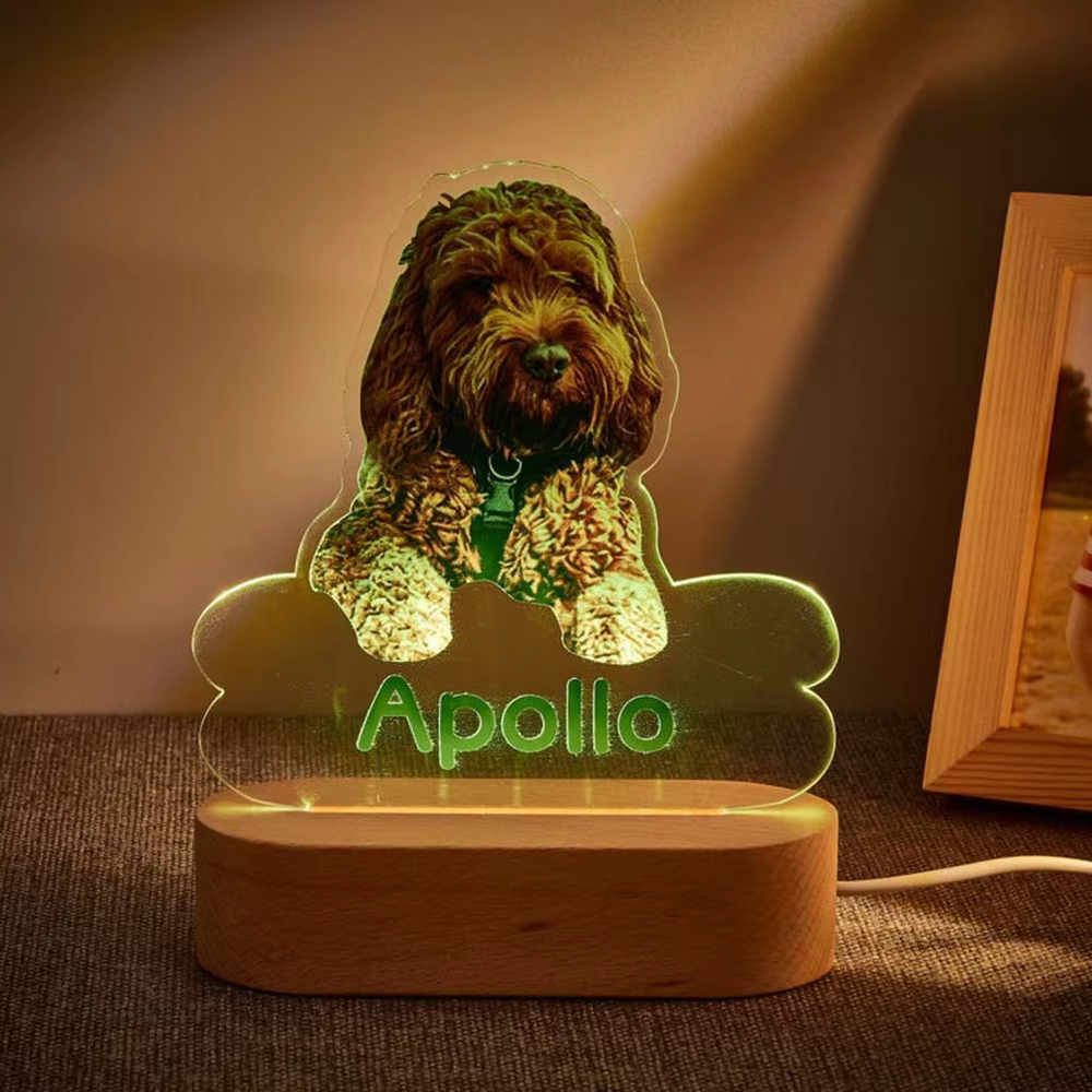 Lampe de nuit LED en acrylique personnalisée avec photo d'animal de compagnie, lumière douce et chaude, cadeau idéal pour la fête des mères pour les propriétaires d'animaux