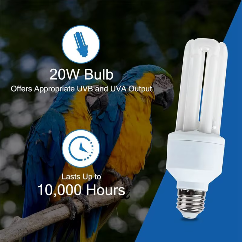 【Dernier CHANCE】 pour les oiseaux 2.4 UVB 20W lampe fluorescente compacte UVA UVB ampoule pour tous les types captifs