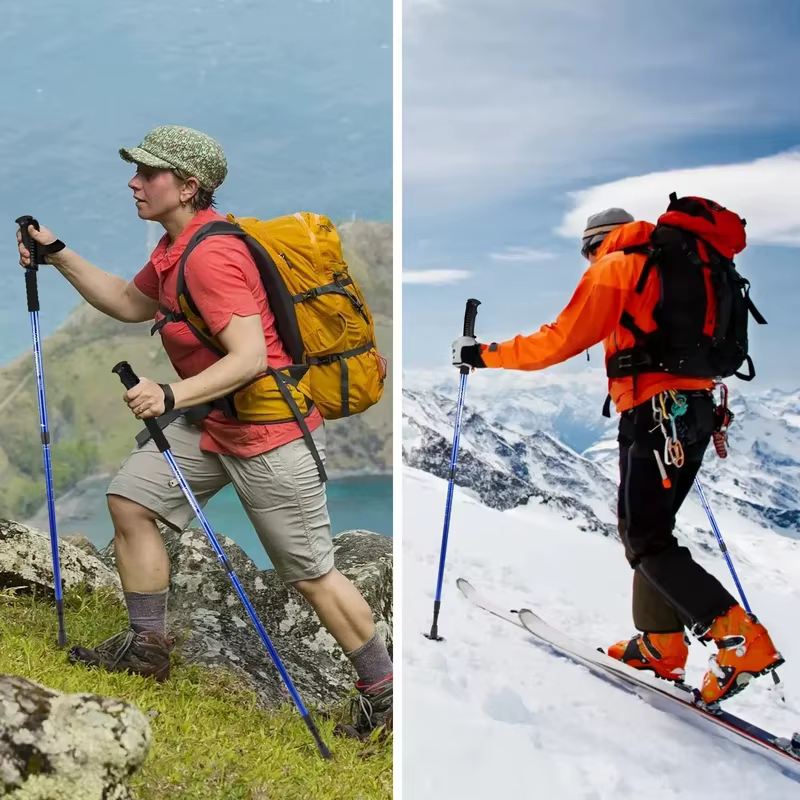 Bâtons de trekking ultralégers à 3 sections