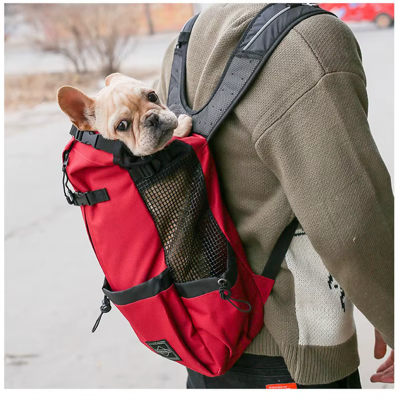 Randonnée animal de compagnie chien transporteur voyage sac à dos Ventilation extérieure respirant vélo moto Sport de plein air maille sac livraison directe