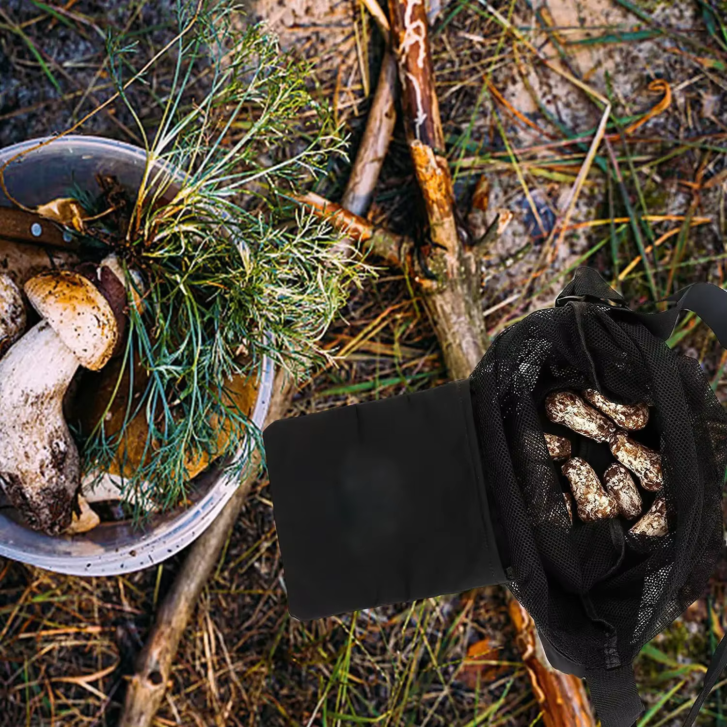 Filet de chasse aux champignons
